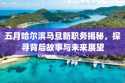 五月哈尔滨马旦新职务揭秘，探寻背后故事与未来展望