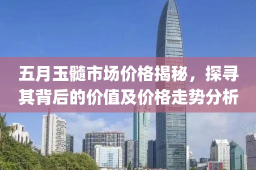 五月玉髓市场价格揭秘，探寻其背后的价值及价格走势分析