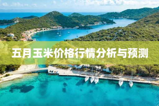 五月玉米价格行情分析与预测