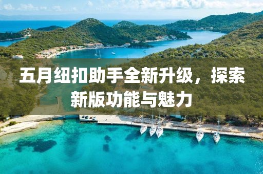 五月纽扣助手全新升级，探索新版功能与魅力