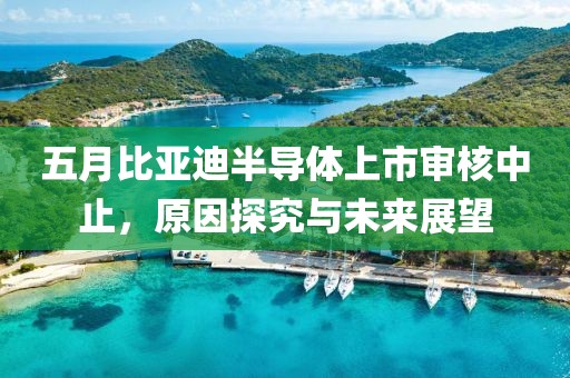 五月比亚迪半导体上市审核中止，原因探究与未来展望
