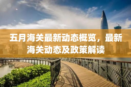 五月海关最新动态概览，最新海关动态及政策解读