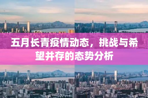 五月长青疫情动态，挑战与希望并存的态势分析