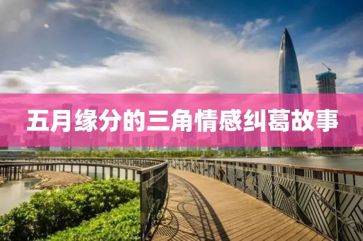 五月缘分的三角情感纠葛故事