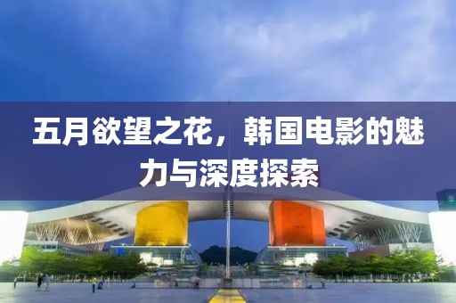 五月欲望之花，韩国电影的魅力与深度探索