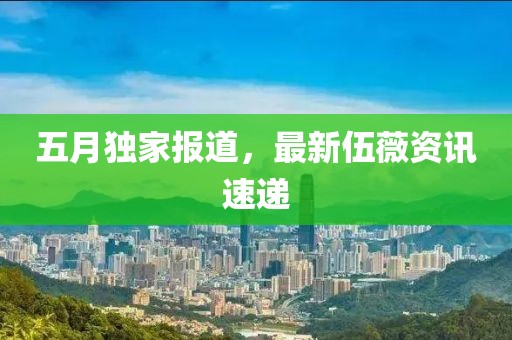 五月独家报道，最新伍薇资讯速递