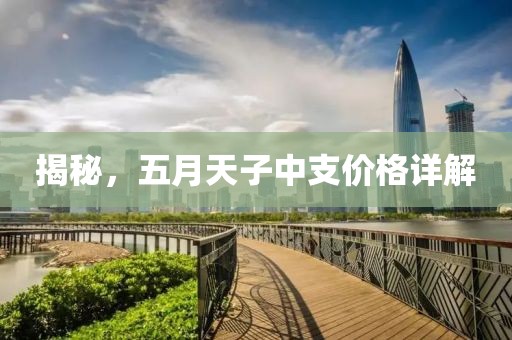 揭秘，五月天子中支价格详解