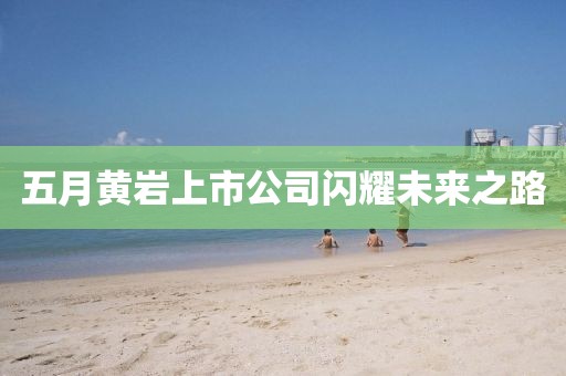 五月黄岩上市公司闪耀未来之路