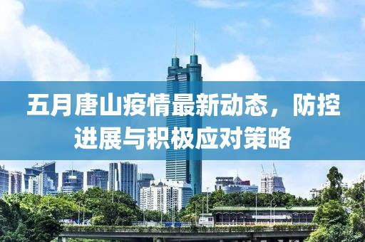 2025年5月11日