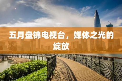 五月盘锦电视台，媒体之光的绽放