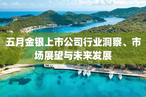 五月金银上市公司行业洞察、市场展望与未来发展