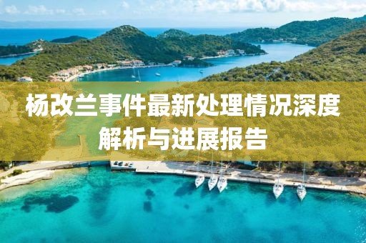 杨改兰事件最新处理情况深度解析与进展报告