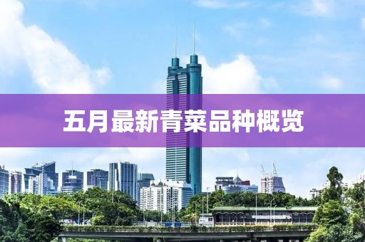 五月最新青菜品种概览