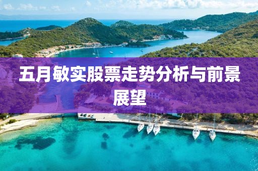 五月敏实股票走势分析与前景展望