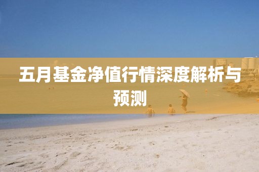 五月基金净值行情深度解析与预测