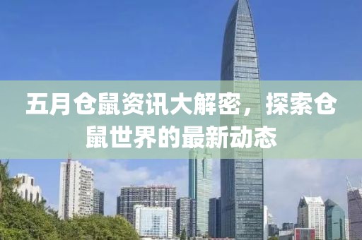 五月仓鼠资讯大解密，探索仓鼠世界的最新动态