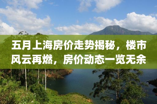 五月上海房价走势揭秘，楼市风云再燃，房价动态一览无余