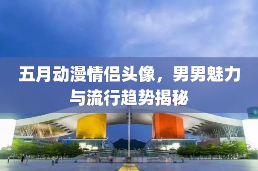 五月动漫情侣头像，男男魅力与流行趋势揭秘