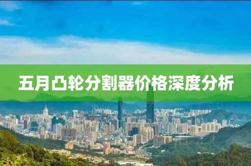 五月凸轮分割器价格深度分析