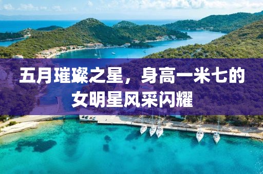 五月璀璨之星，身高一米七的女明星风采闪耀