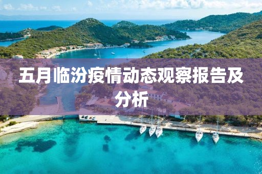 五月临汾疫情动态观察报告及分析
