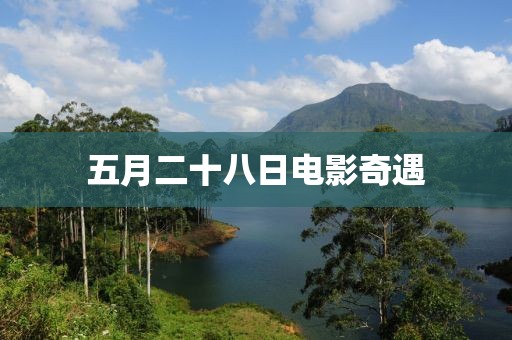 五月二十八日电影奇遇