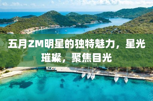 五月ZM明星的独特魅力，星光璀璨，聚焦目光