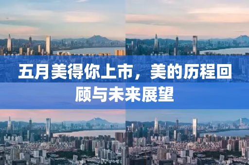 五月美得你上市，美的历程回顾与未来展望