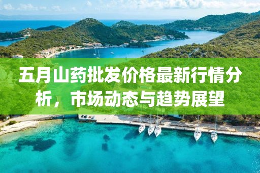 五月山药批发价格最新行情分析，市场动态与趋势展望