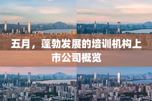 五月，蓬勃发展的培训机构上市公司概览