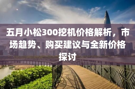 五月小松300挖机价格解析，市场趋势、购买建议与全新价格探讨