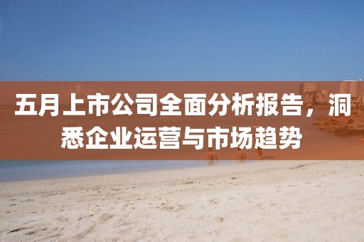 五月上市公司全面分析报告，洞悉企业运营与市场趋势