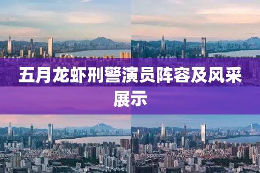五月龙虾刑警演员阵容及风采展示