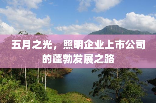 五月之光，照明企业上市公司的蓬勃发展之路