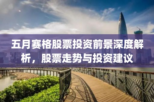 五月赛格股票投资前景深度解析，股票走势与投资建议