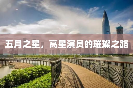五月之星，高星演员的璀璨之路
