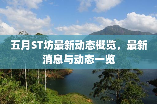 五月ST坊最新动态概览，最新消息与动态一览