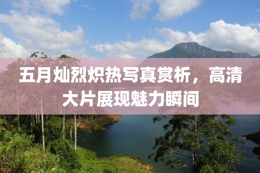 五月灿烈炽热写真赏析，高清大片展现魅力瞬间