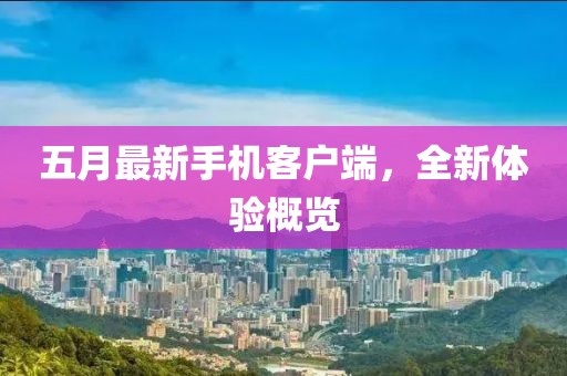 五月最新手机客户端，全新体验概览