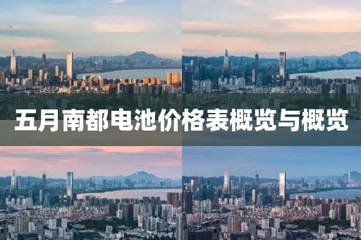 五月南都电池价格表概览与概览