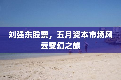 刘强东股票，五月资本市场风云变幻之旅