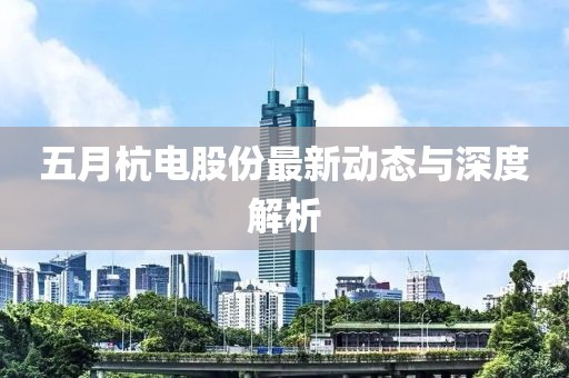 五月杭电股份最新动态与深度解析