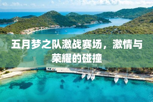 五月梦之队激战赛场，激情与荣耀的碰撞