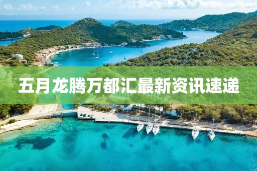 五月龙腾万都汇最新资讯速递