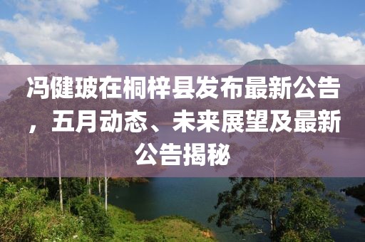 冯健玻在桐梓县发布最新公告，五月动态、未来展望及最新公告揭秘