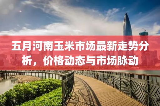 五月河南玉米市场最新走势分析，价格动态与市场脉动