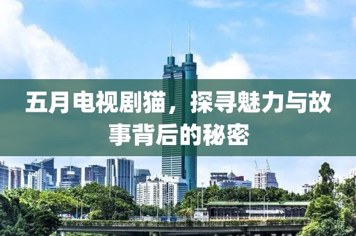 五月电视剧猫，探寻魅力与故事背后的秘密