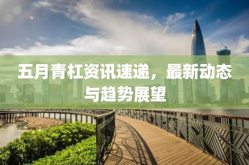 五月青杠资讯速递，最新动态与趋势展望