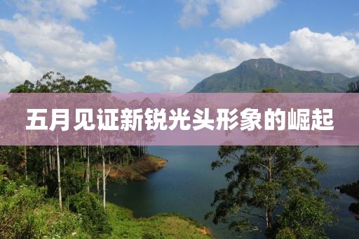 五月见证新锐光头形象的崛起