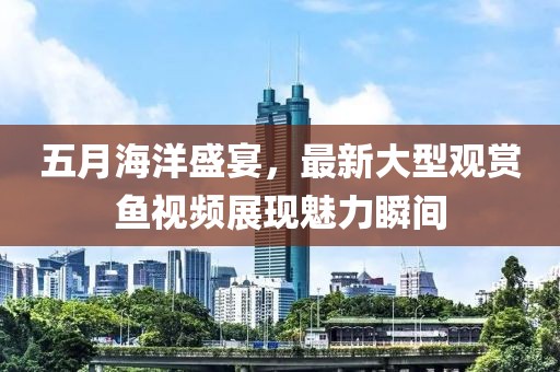 五月海洋盛宴，最新大型观赏鱼视频展现魅力瞬间
